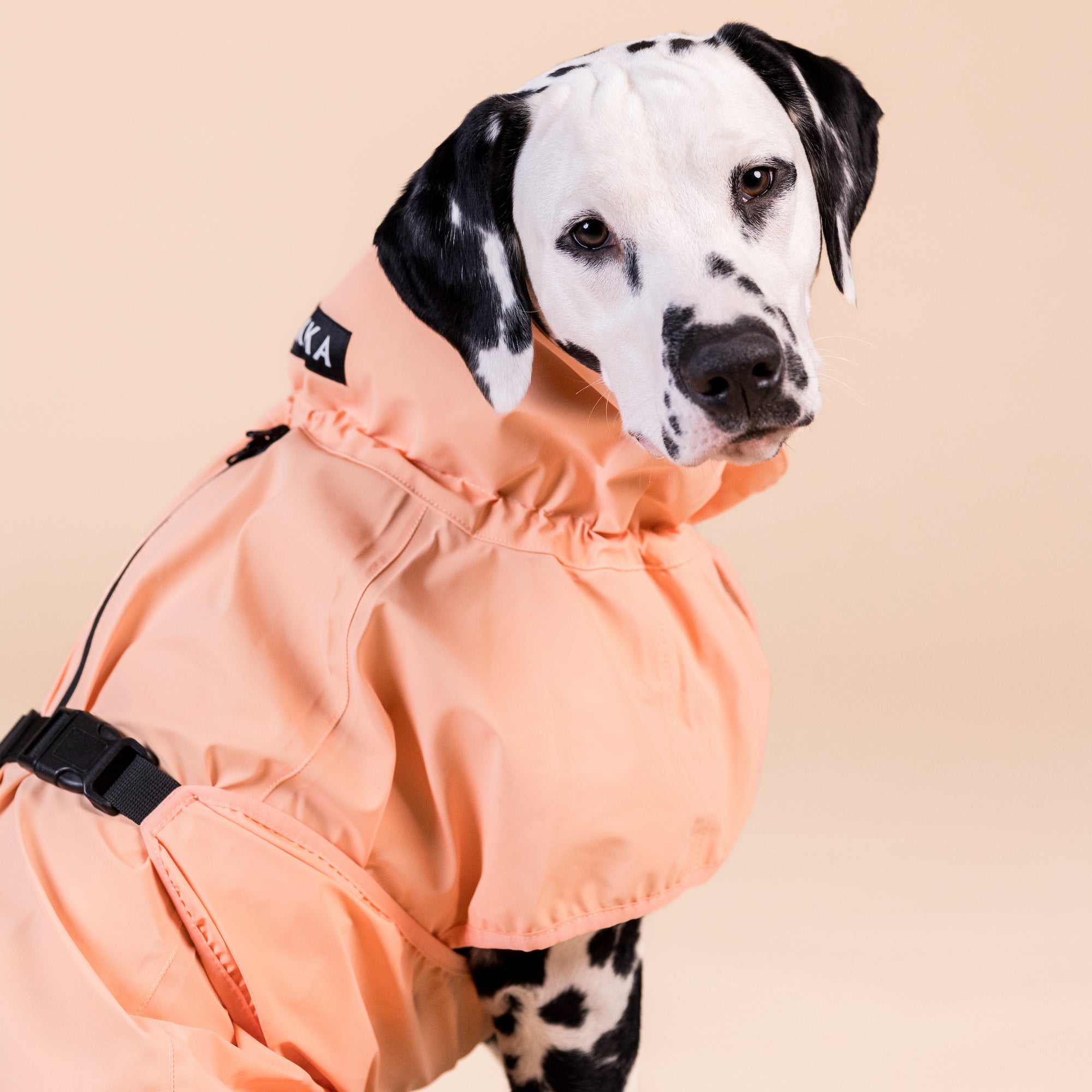 PAIKKA Guscio giacca riflettente e impermeabile per cani