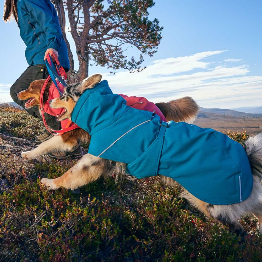 Giacca impermeabile per cani Expedition Parka II