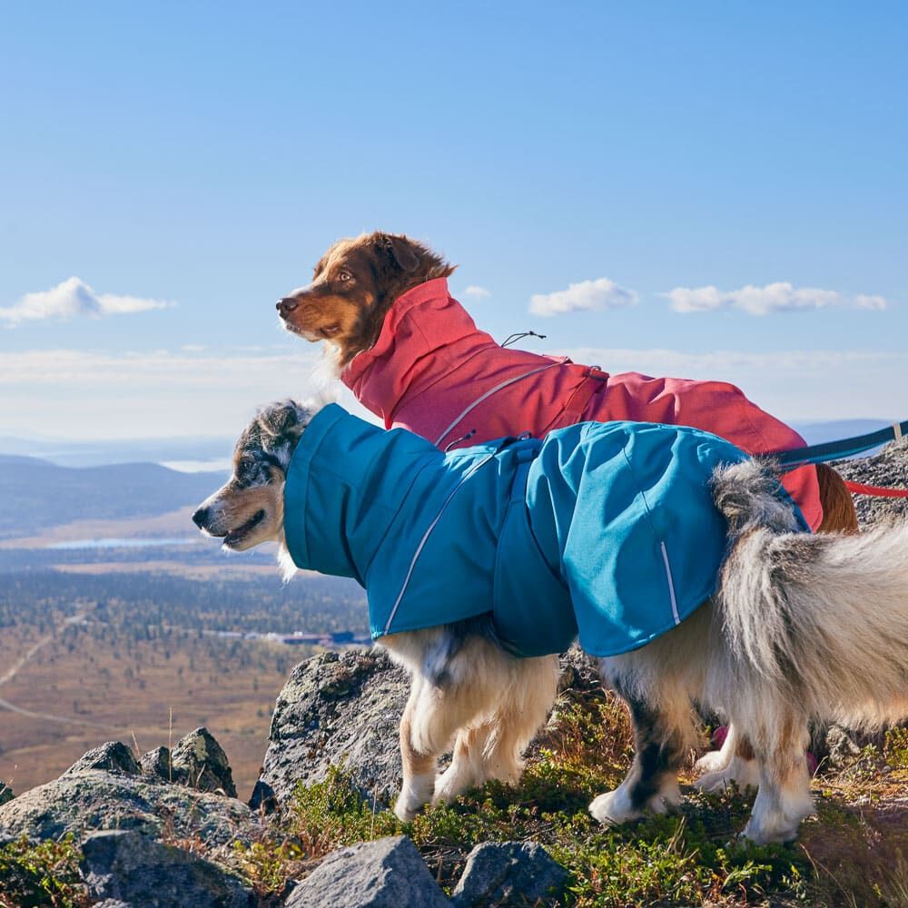 Giacca impermeabile per cani Expedition Parka II