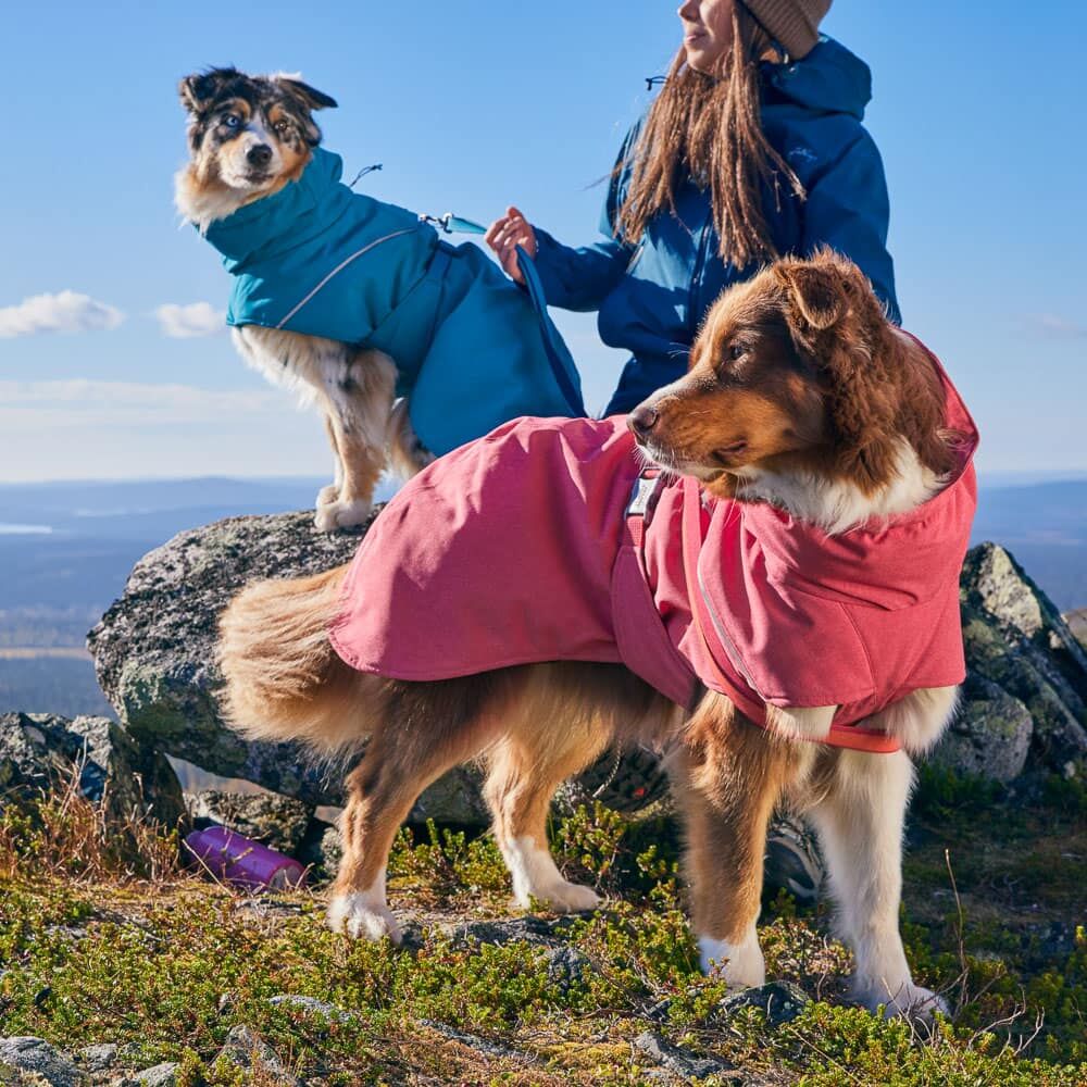Giacca impermeabile per cani Expedition Parka II