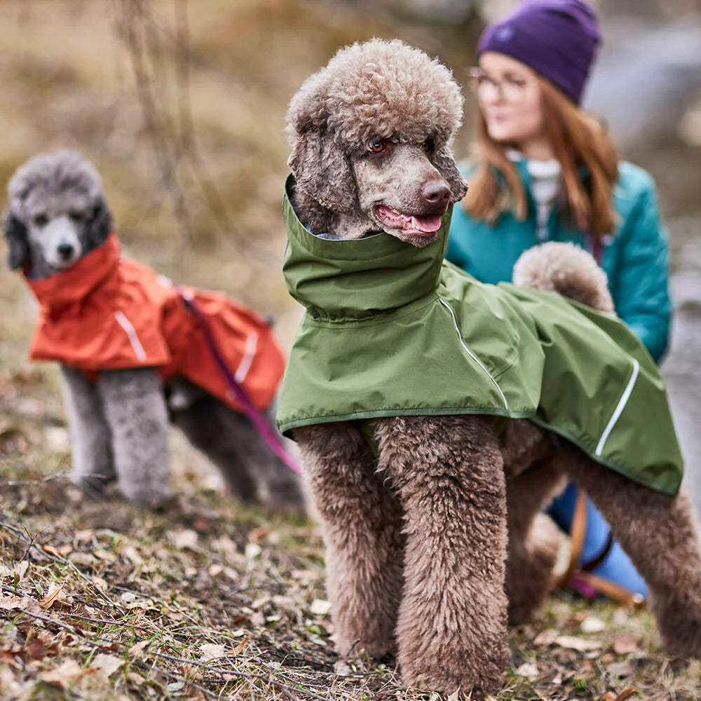 Giacca impermeabile per cani Mudventure ECO | Super leggera per l'estate