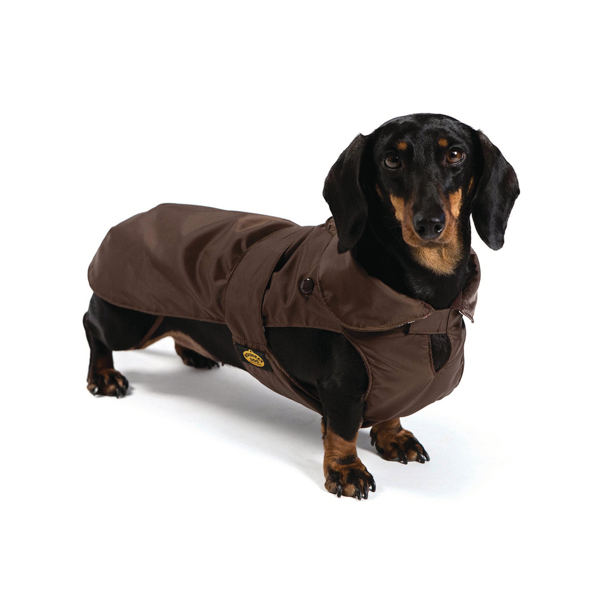 Impermeabile per bassotti con fodera removibile | Fashion Dog