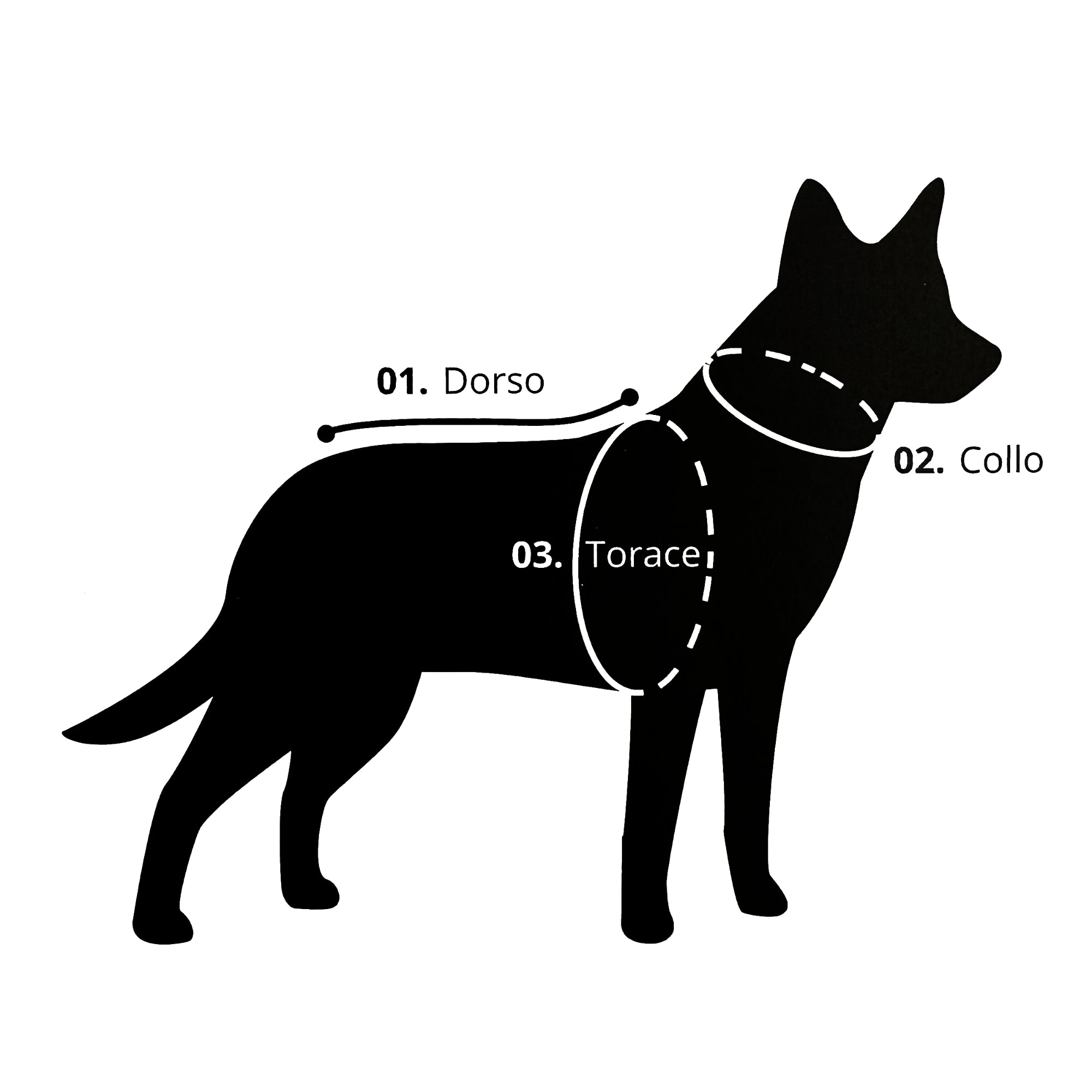 Giacca Impermeabile per cani Mudventure Riflettente