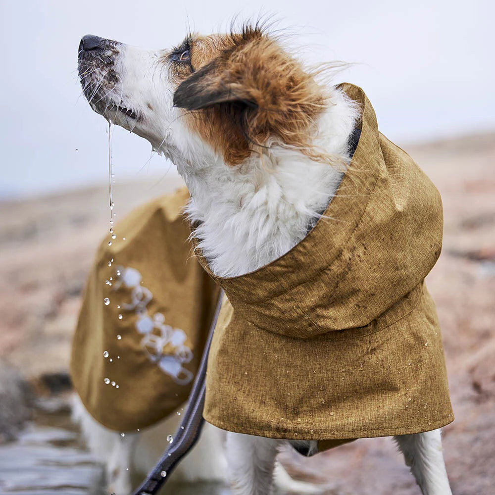 Giacca Impermeabile per cani Monsoon 2 Eco