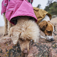 Carica l'immagine nel visualizzatore della galleria, Giacca Impermeabile per cani Monsoon 2 Eco
