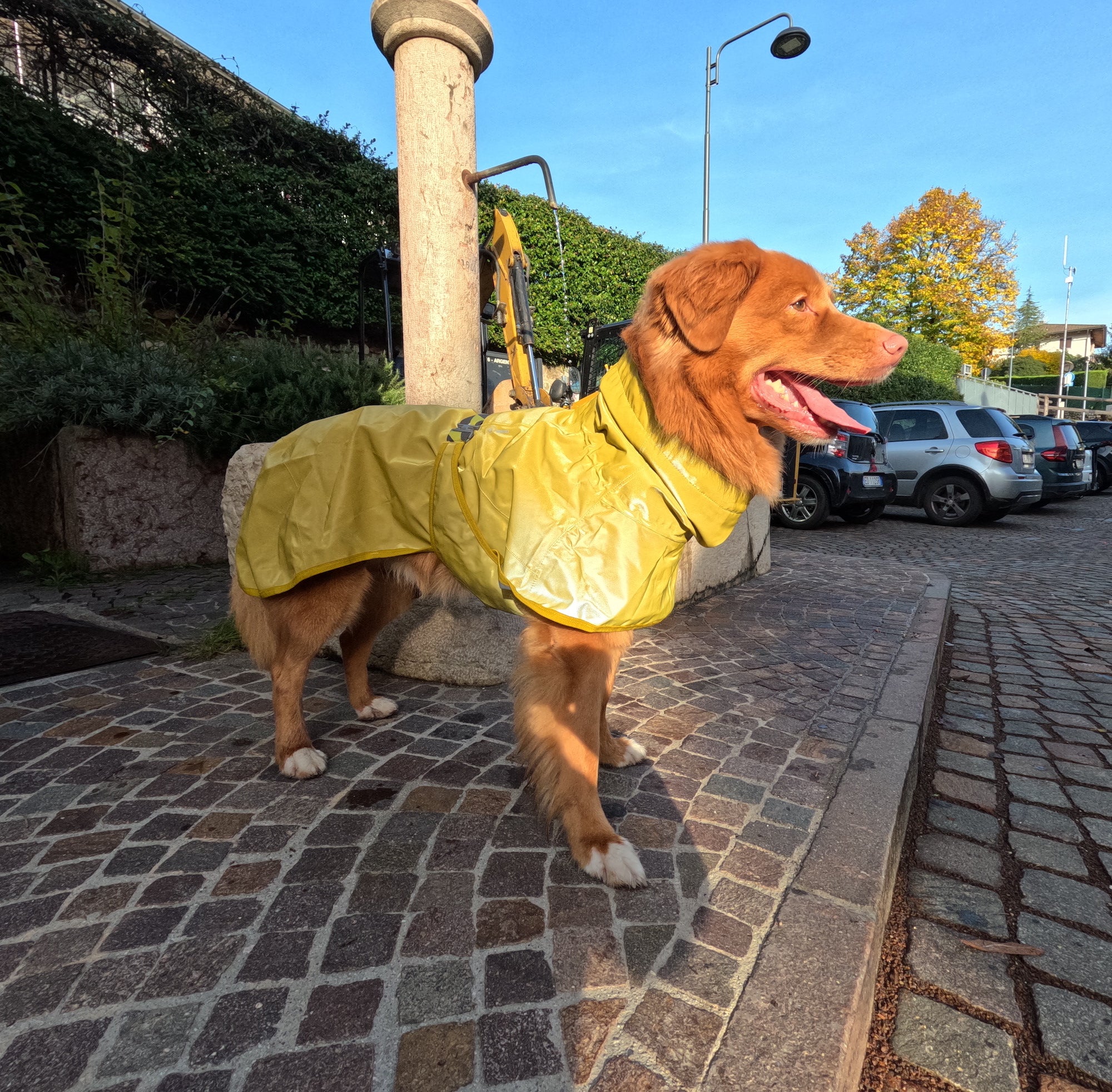 Giacca Impermeabile per cani Mudventure Riflettente