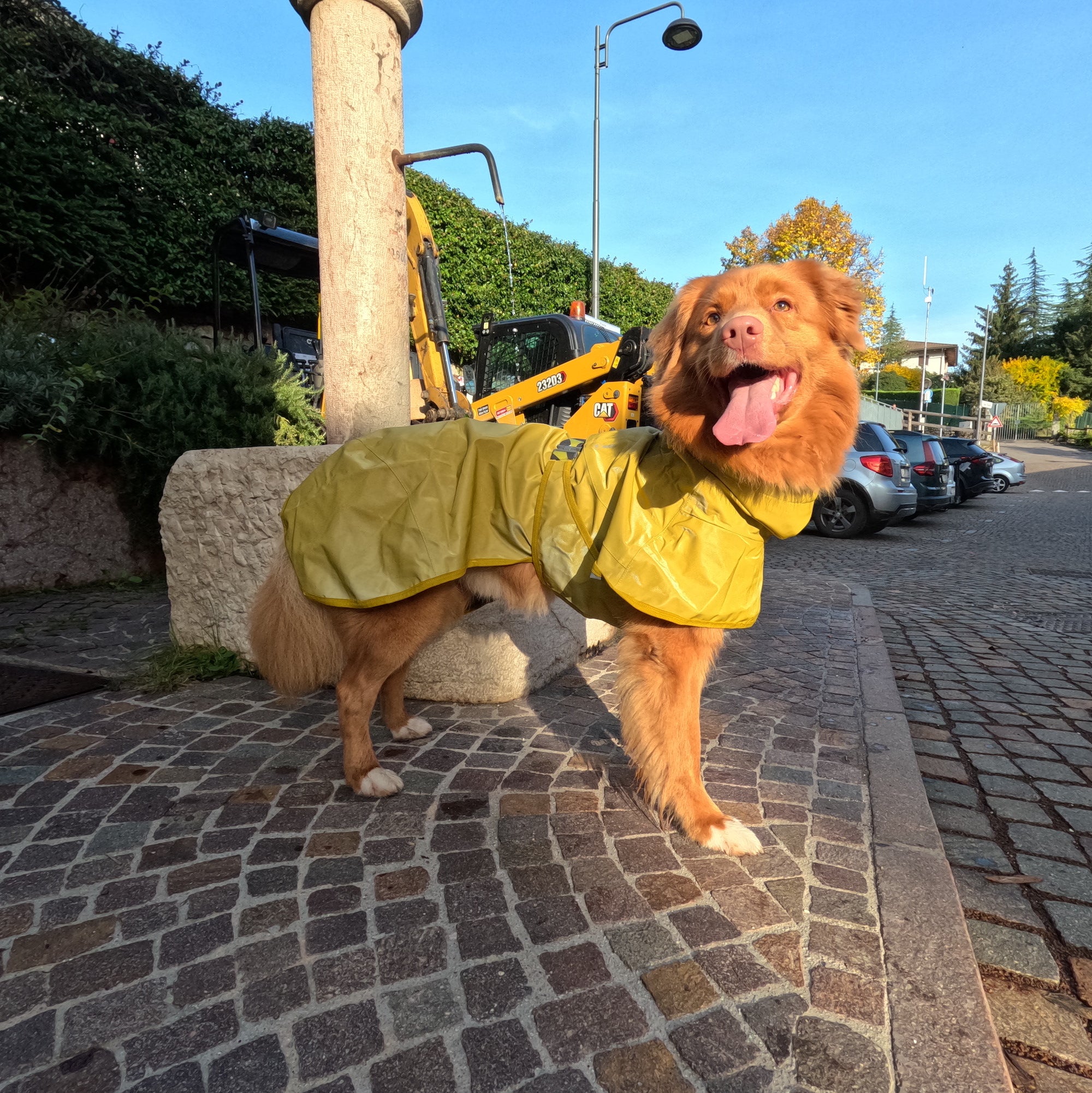 Giacca Impermeabile per cani Mudventure Riflettente