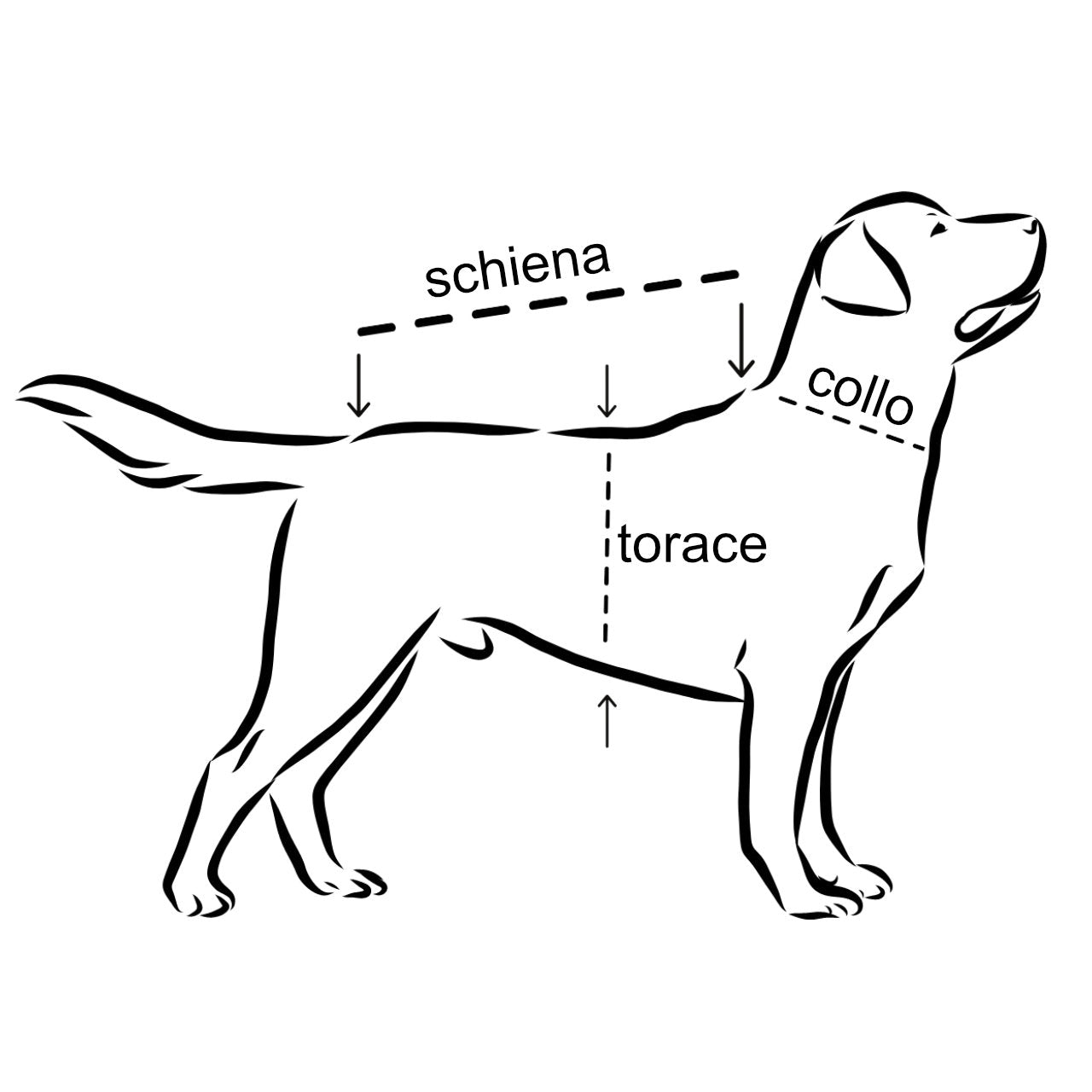 PAIKKA Guscio giacca riflettente e impermeabile per cani