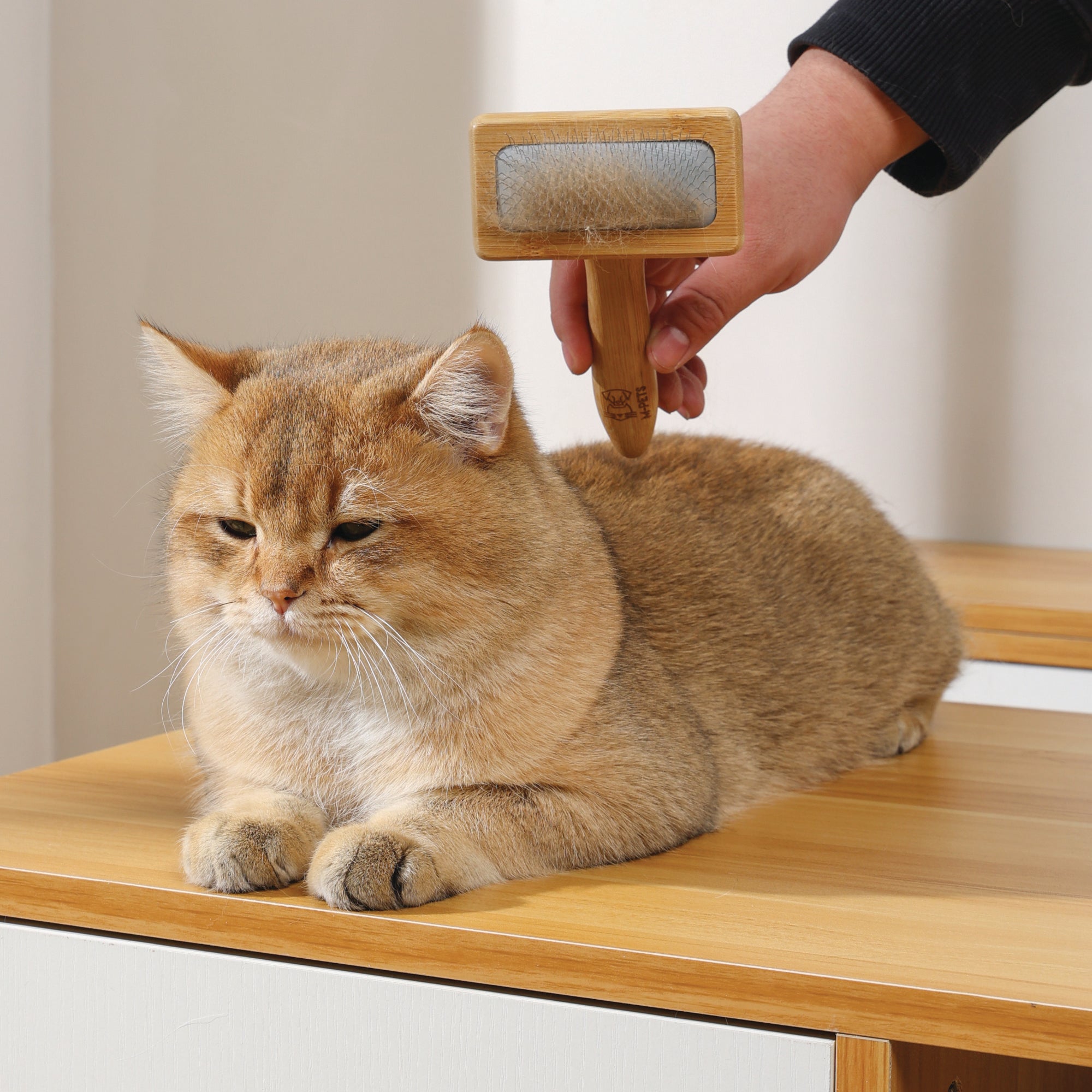 Spazzola in bamboo naturale per cani e gatti